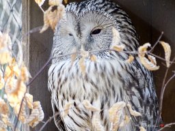 Tiergarten Schönbrunn am 23.03.2023